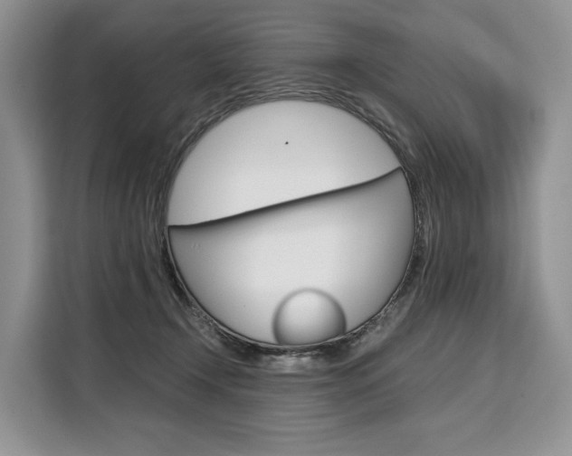X0000110320366200905211210