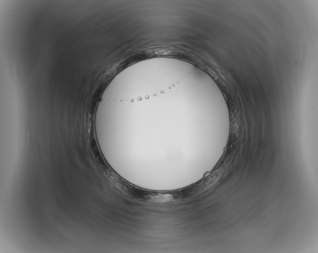 X0000110320374200905211210