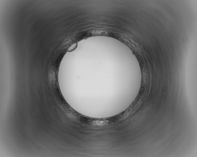 X0000110320375200905211210