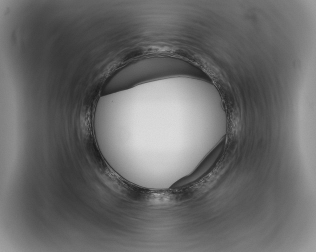 X0000110320376200905211210