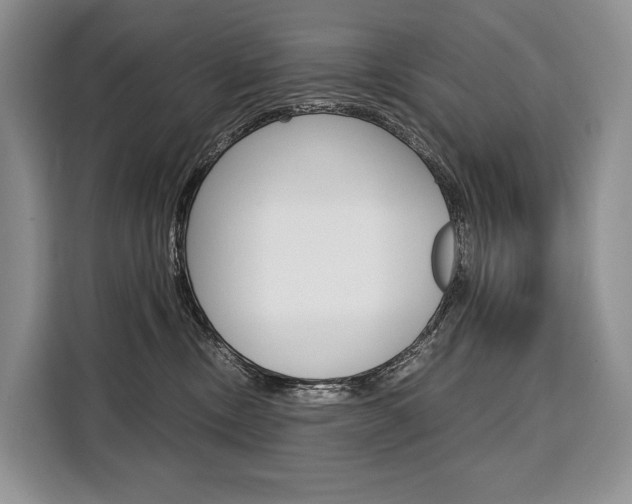X0000110320378200905211210