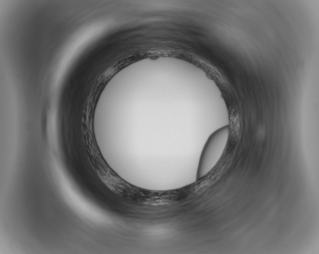 X0000110320381200905211210