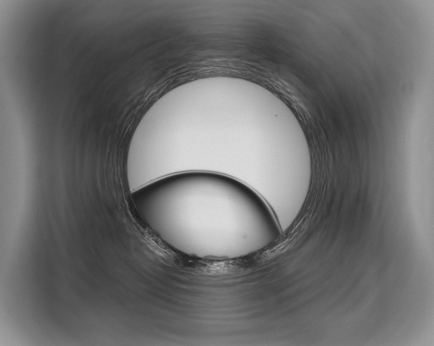 X0000110320382200905211210