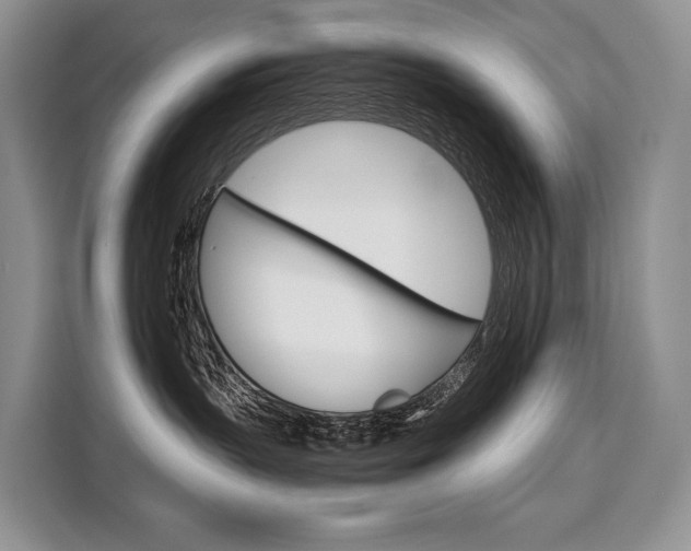 X0000110320383200905211211