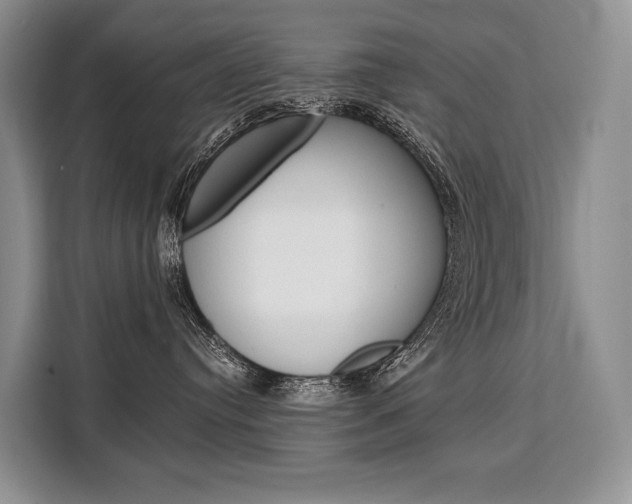 X0000110320384200905211211