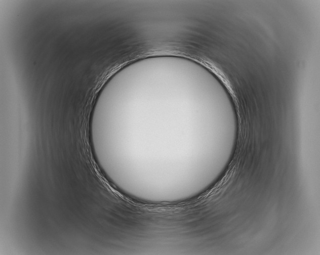 X0000110320385200905211210