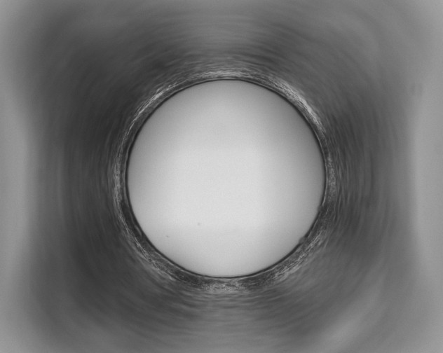 X0000110320386200905211210