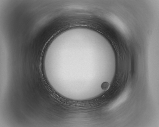 X0000110320387200905211210