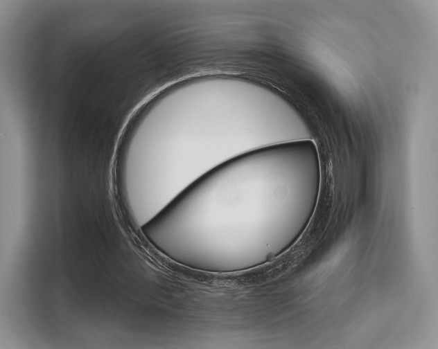 X0000110320388200905211210