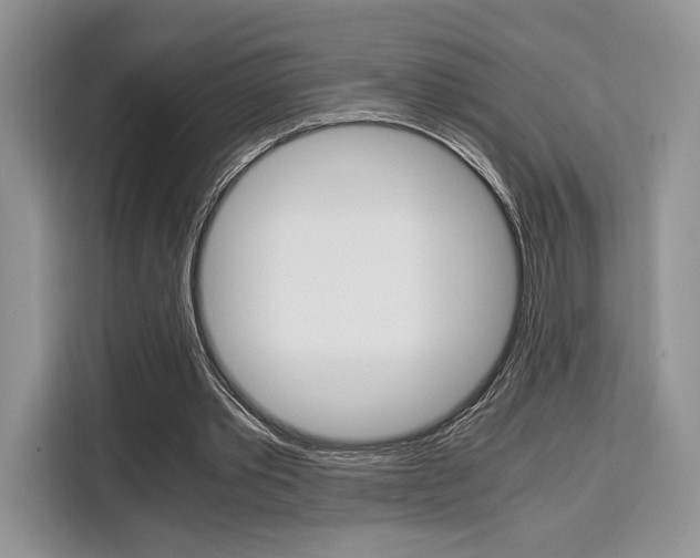 X0000110320389200905211210