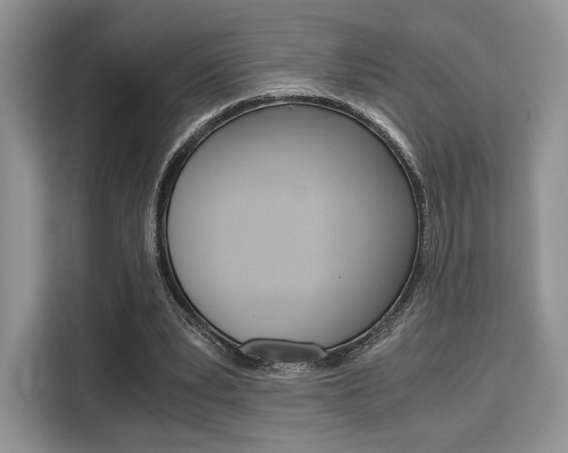 X0000110320391200905211210