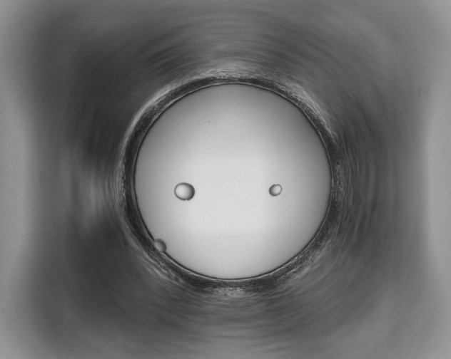 X0000110320392200905211210