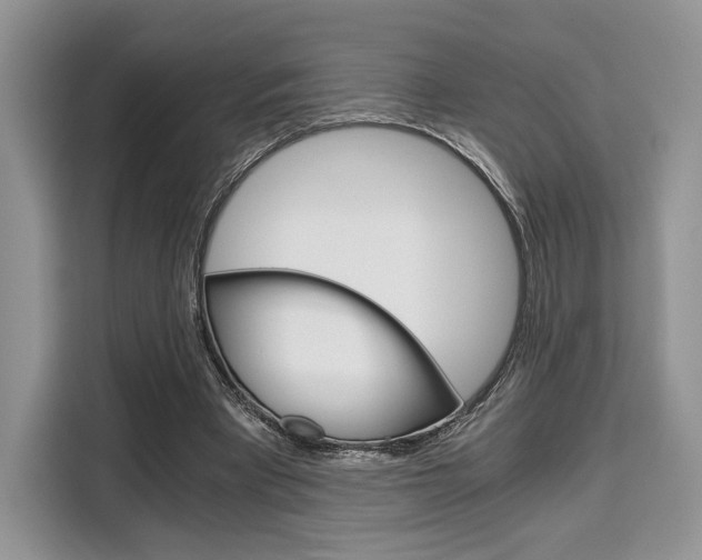 X0000110320393200905211210
