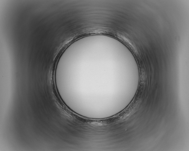 X0000110320394200905211210