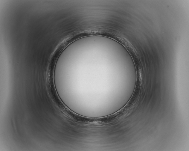 X0000110320396200905211210