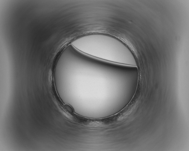 X0000110320397200905211210