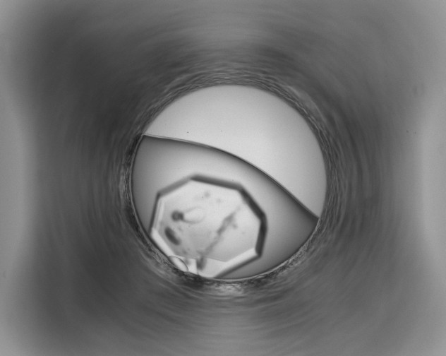X0000110320409200905211210