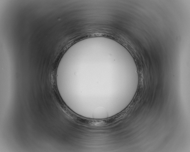 X0000110320410200905211210