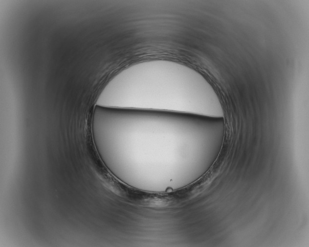 X0000110320412200905211210