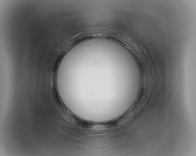 X0000110320413200905211210