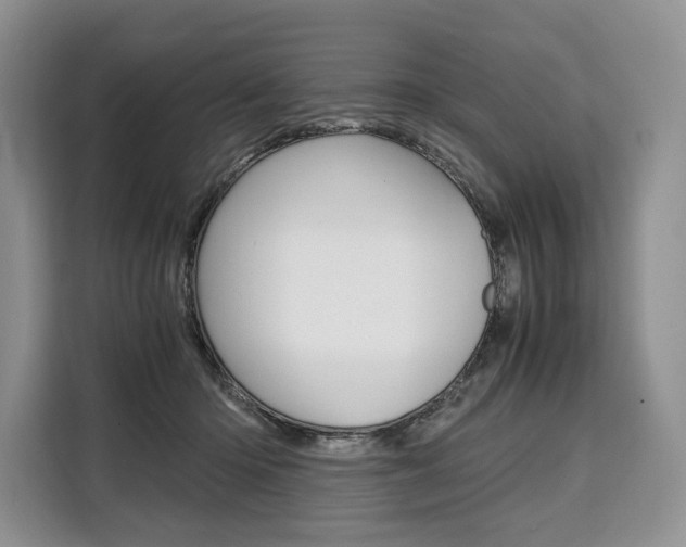 X0000110320414200905211210