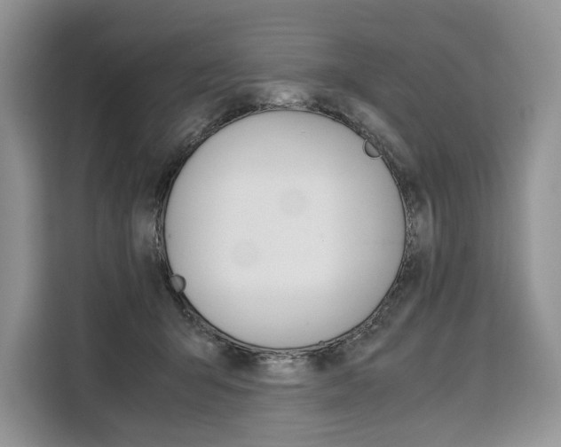X0000110320415200905211209