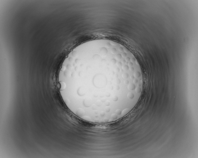 X0000110320418200905211209