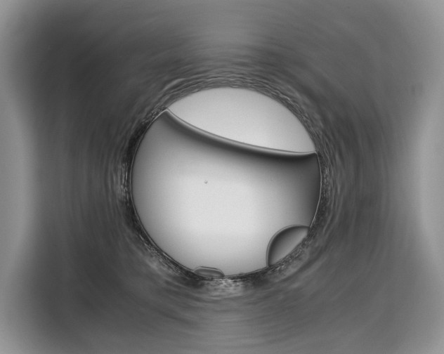 X0000110320421200905211209