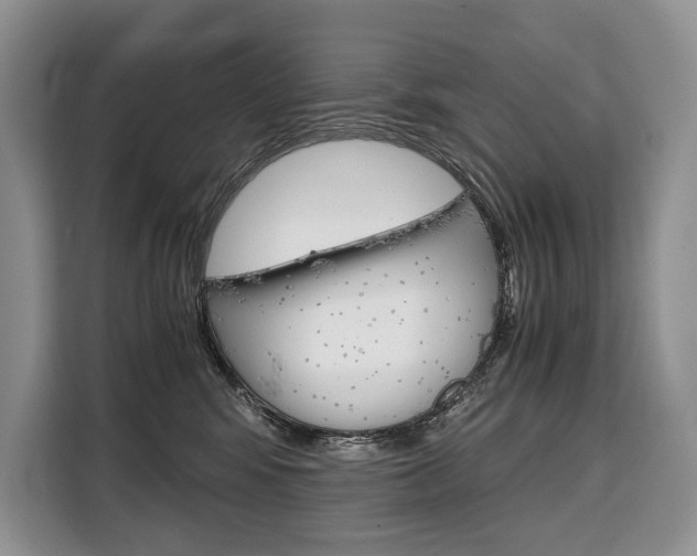 X0000110320424200905211209