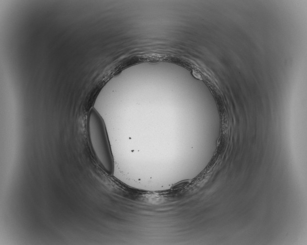 X0000110320425200905211209