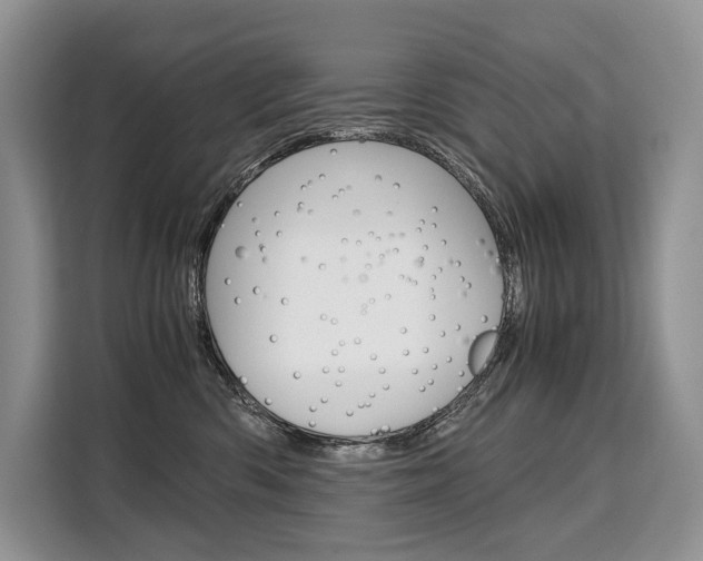 X0000110320426200905211209