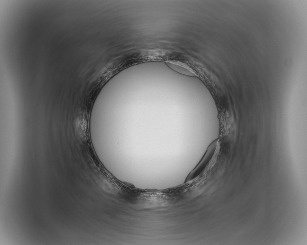 X0000110320427200905211209