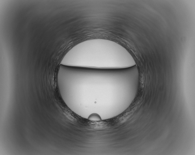 X0000110320428200905211209