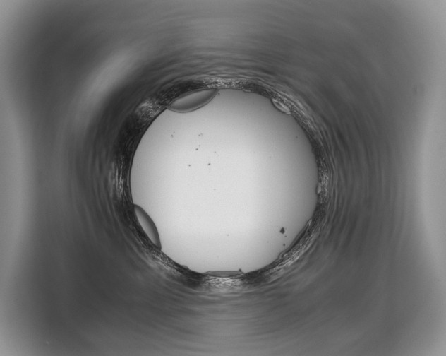 X0000110320429200905211209
