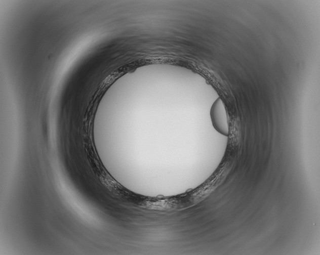 X0000110320430200905211209