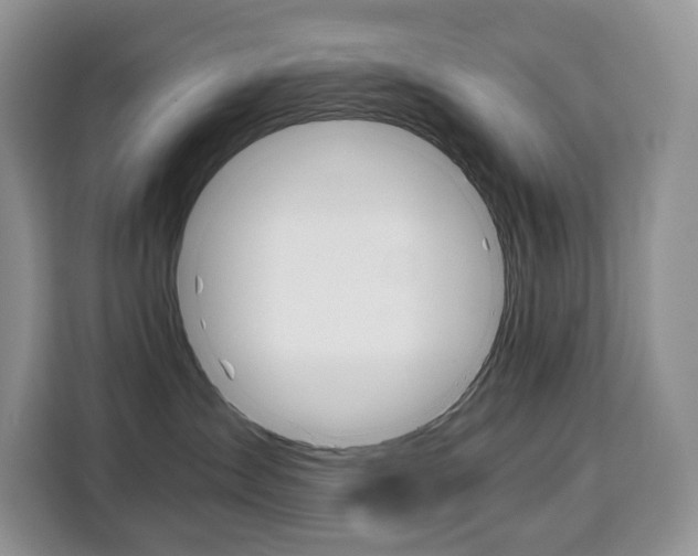 X0000110320431200905211209