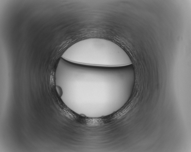 X0000110320432200905211209