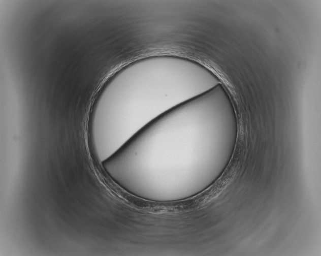 X0000110320434200905211209