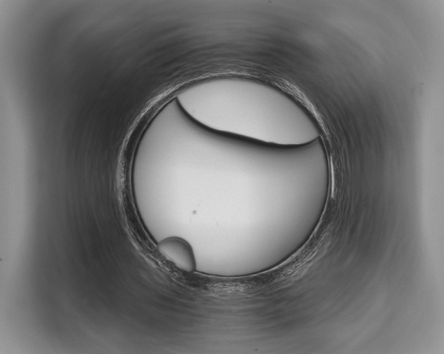 X0000110320435200905211209