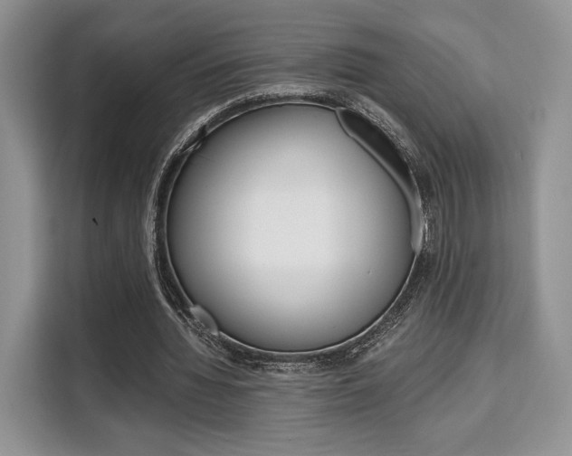 X0000110320436200905211209