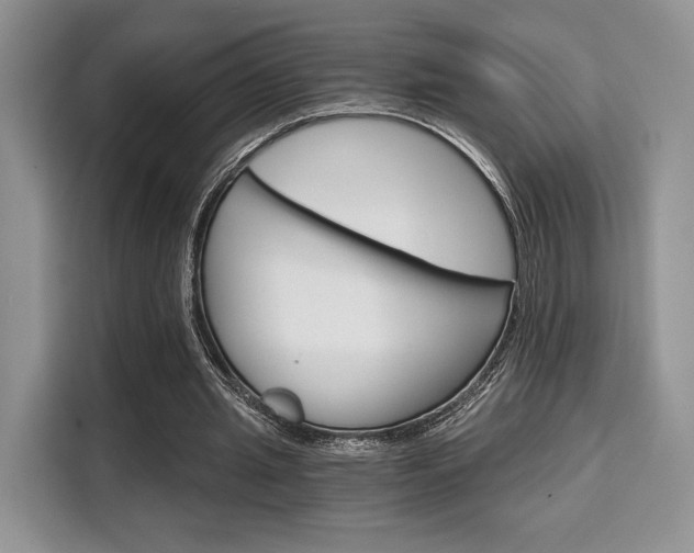 X0000110320437200905211209