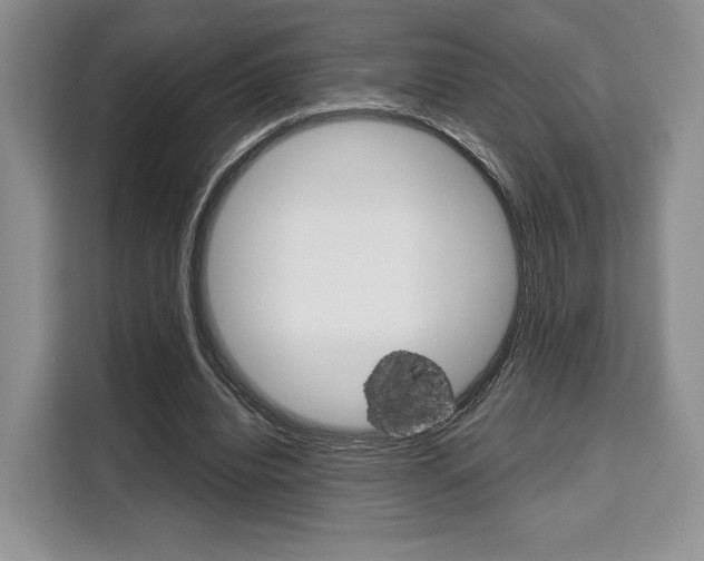 X0000110320440200905211209