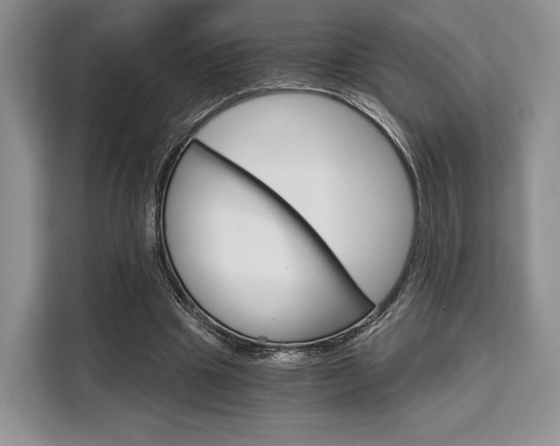 X0000110320441200905211209