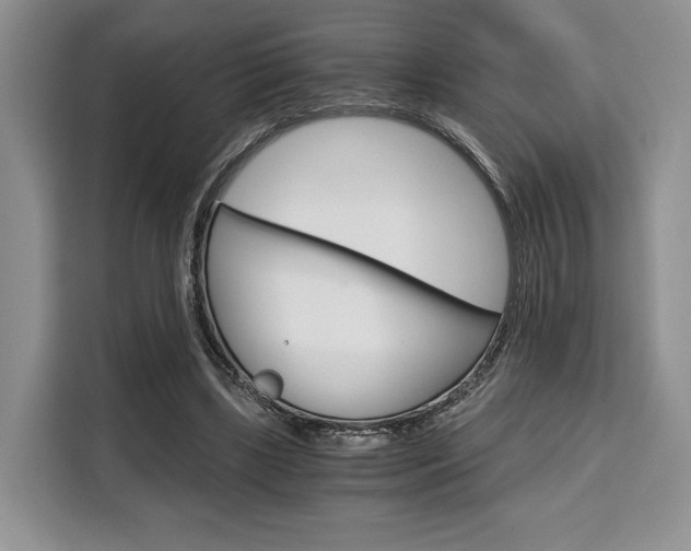 X0000110320443200905211209
