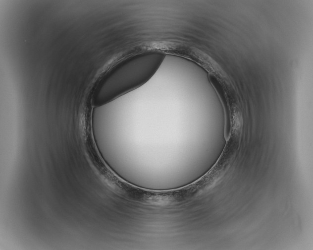 X0000110320444200905211209