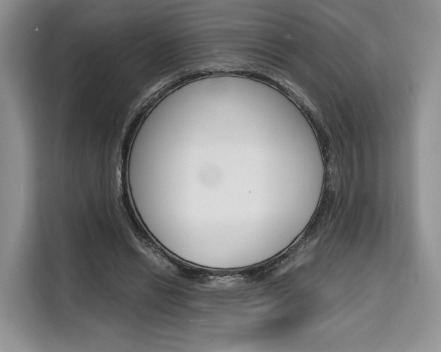 X0000110320446200905211209