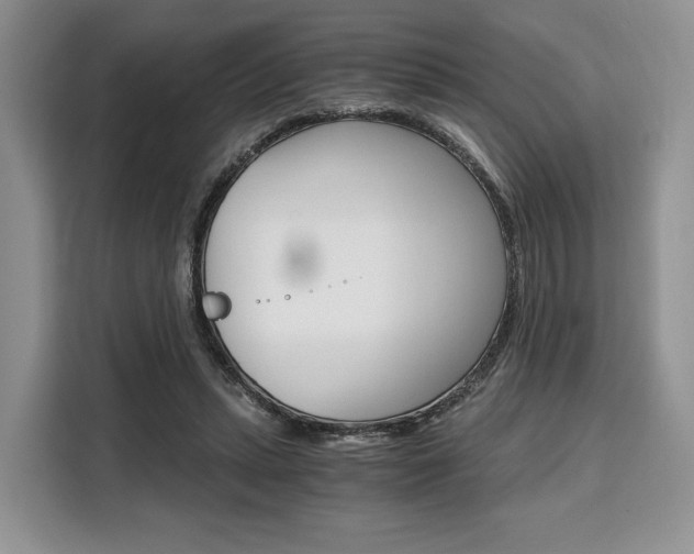 X0000110320447200905211209