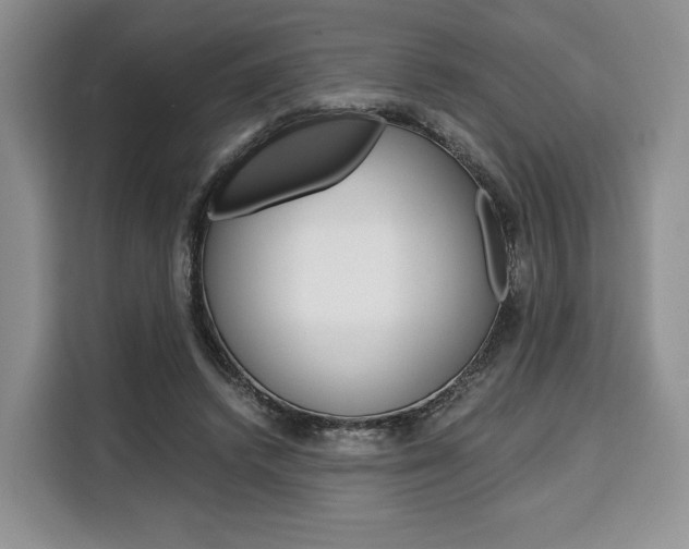 X0000110320448200905211209