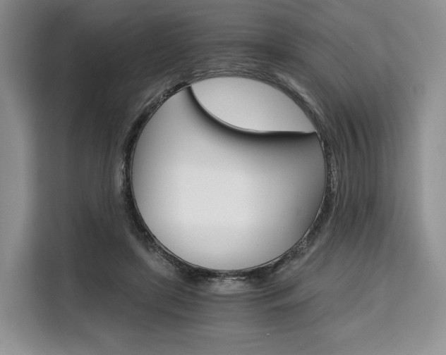 X0000110320451200905211209