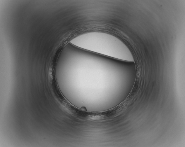 X0000110320452200905211209